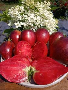 IMG_20250725_104611.jpg
