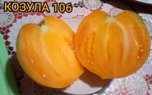IMG_20250811_002750.thumb.jpg.b0688eede0016b4f8513fcdee45c01f6.jpg