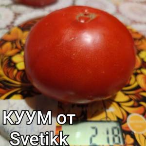 IMG_20250818_211633.thumb.jpg.6c0b67a1e94b683efeb714eaae10c69c.jpg