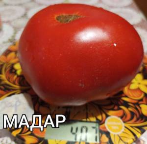 IMG_20250818_212259.thumb.jpg.4b07546bf32a428e2034ea0ead740c9c.jpg