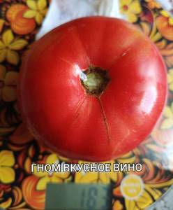 IMG_20250821_081453.thumb.jpg.6ebd43058d1c3822a2e7aa96c684d5ae.jpg
