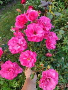 IMG_20250830_181933.jpg