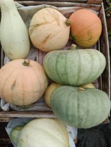 IMG_20250831_165142.jpg