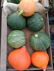 IMG_20250831_165156.jpg