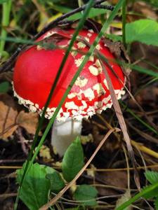 IMG_20250902_141932.jpg