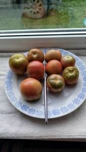IMG_20250903_105827.jpg