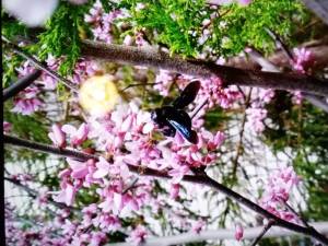 IMG_20250903_221211.jpg