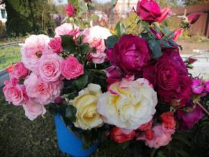 IMG_20250905_203618.jpg
