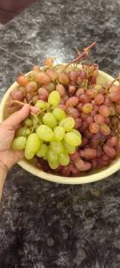 IMG_20250906_190633.thumb.jpg.8910ac5754f67003a67c640264a662c4.jpg