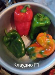 IMG_20250906_224709.jpg