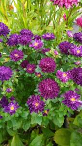 IMG_20250908_192831.jpg