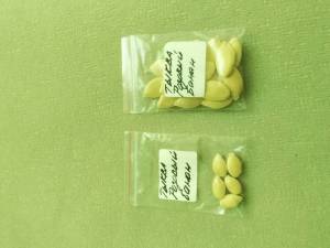 IMG_20250912_125004.jpg
