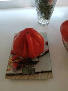 IMG_20250913_075302.jpg