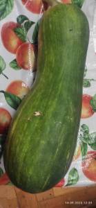 IMG_20250914_123953.jpg