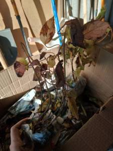 IMG_20250915_162408.jpg