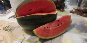 IMG_20250915_170049.jpg