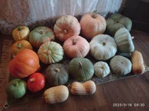IMG_20250918_093004.thumb.jpg.9b96cb84d32f52430a6208cc97a4a950.jpg