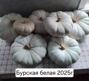 IMG_20250918_163947.thumb.jpg.2e0ec662983cc541fd5557bd93a6e5d1.jpg