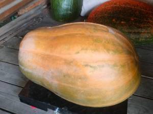 IMG_20250919_021229.jpg