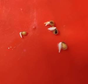 IMG_20250920_100402.jpg