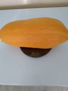 IMG_20250920_172702_530.jpg