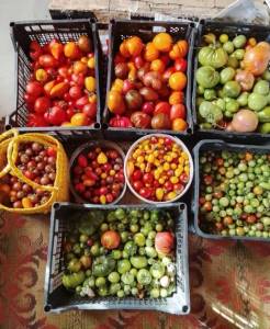 IMG_20250921_212530.thumb.jpg.340850339c80d1a7b72530a96b235504.jpg