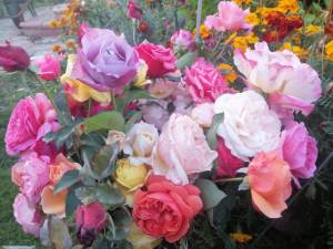 IMG_20250924_164911.jpg