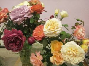 IMG_20250924_220055.jpg