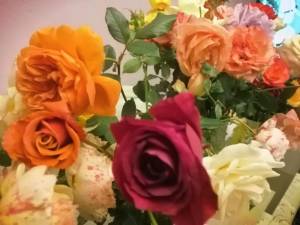 IMG_20250924_220156.jpg