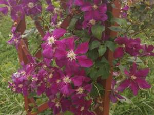 IMG_20250925_145347.thumb.jpg.978f3616be3acc3a12ba012f88835a8e.jpg
