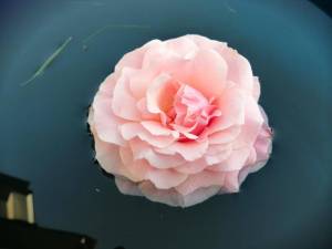 IMG_20250925_205556.jpg