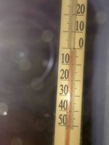 IMG_20250926_044326_312.jpg