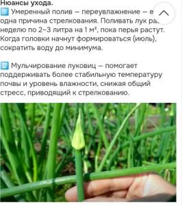 IMG_20250929_075303.thumb.jpg.4f851bffc6f92c100ba41b2b5548f4cc.jpg