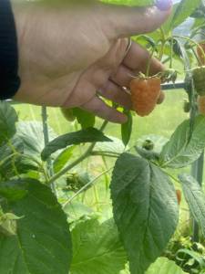 IMG_2109.jpeg