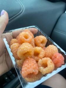 IMG_2168.jpeg