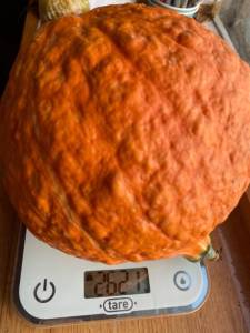 IMG_4348.jpeg