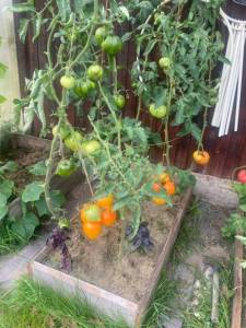 IMG_4645.jpeg
