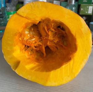 IMG_4860.jpeg