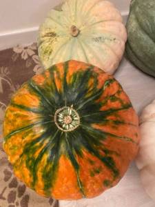 IMG_4864.thumb.jpeg.c926e60a5f76050d752c0ac1c37c1c84.jpeg