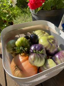 IMG_4881.jpeg