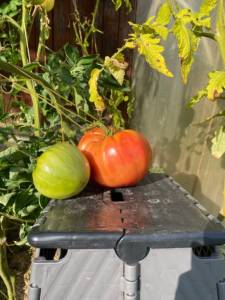 IMG_4901.jpeg