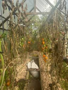 IMG_5119.jpeg
