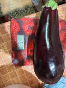 IMG_7913.jpeg