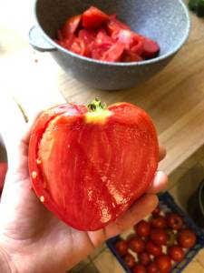 IMG_8158.jpeg