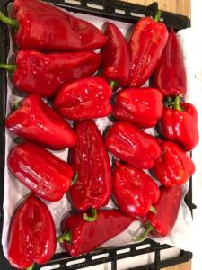 IMG_8241.jpeg