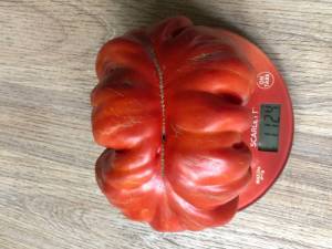 IMG_8251.jpeg