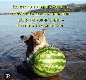 IMG_8372.jpeg