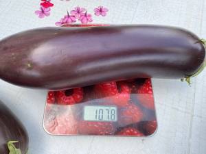 IMG_8430.jpeg