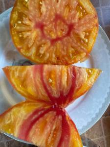 IMG_8459.jpeg