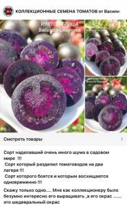 IMG_9231.jpeg